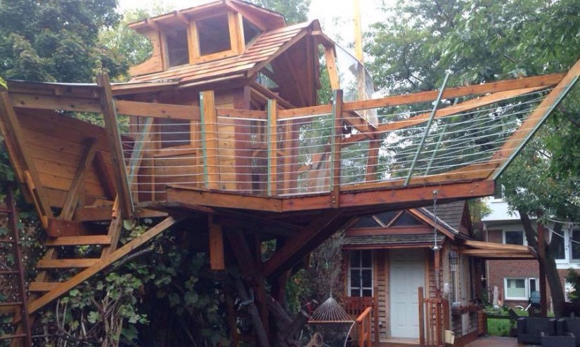 3萬樹屋或可保留 但屋主或面臨罰款