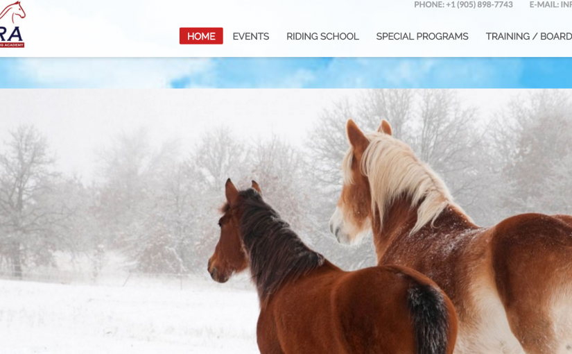 馬術學院馬匹集體「逃學」 代價搭上性命