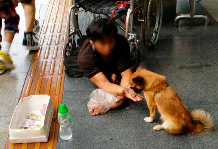 帶動物乞討博同情 深圳乞丐月入萬元