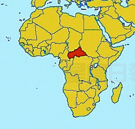 駐中非維和部隊被曝性侵 綁女孩和狗性交