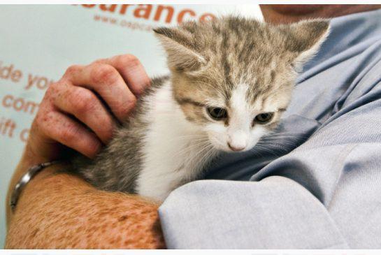 全國連鎖寵物店關門 以下商店特價清貨