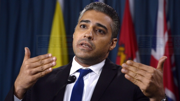 加籍埃及裔記者法米重新獲得埃及國籍