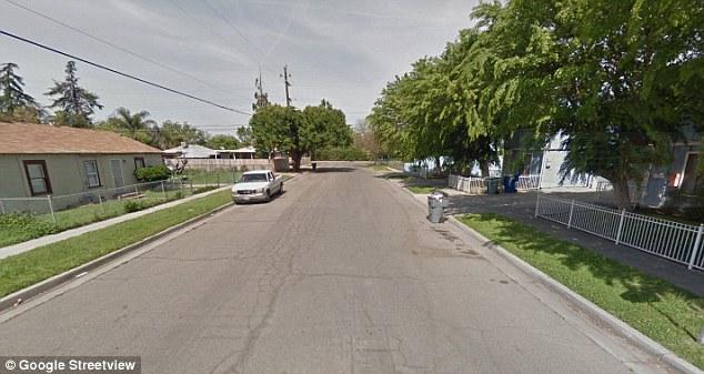 母親剛剛走開 加州3歲小孩被家中狗咬死