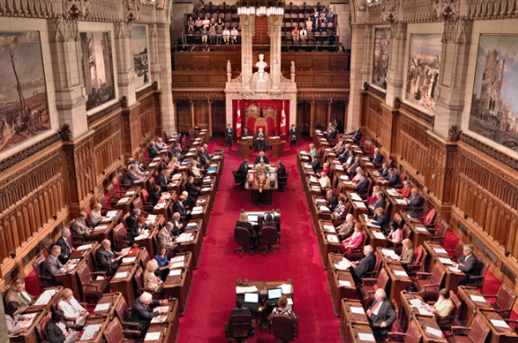 夢想成為參議員？現在可以直接申請