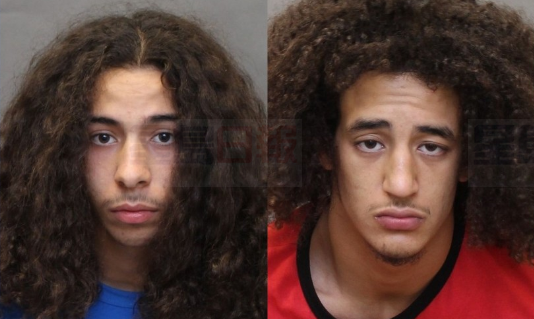 兩名19歲男逼20歲女子賣淫 否則殺她的狗