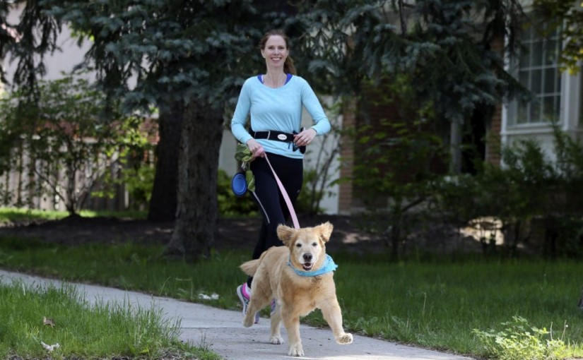 動物協會新主意：邊遛狗邊玩PokemonGo