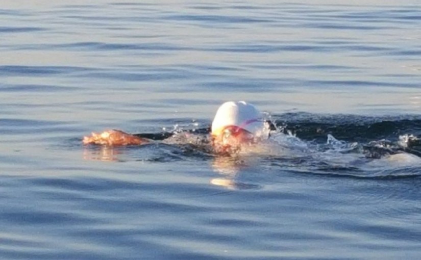 還差300米！女孩征服安大略湖失敗