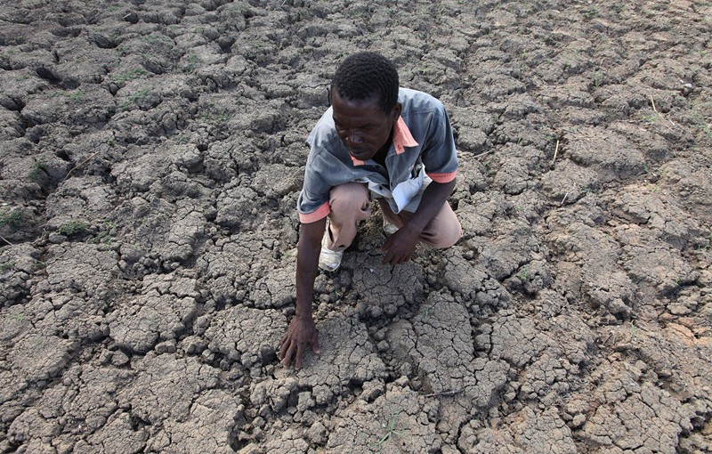 去年全球氣溫創新高 旱災面積大增