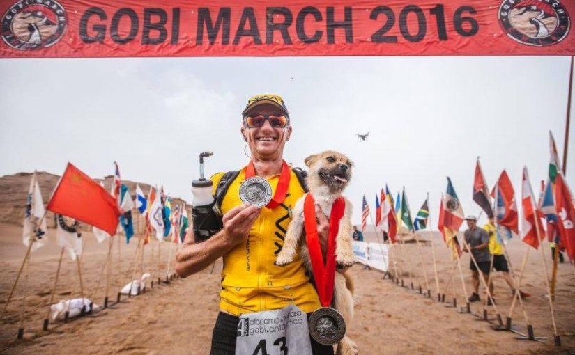 男子中國參加長跑 小野狗陪跑250公里成家人