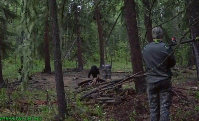 美國獵手在亞省用長矛殺黑熊 被批殘忍