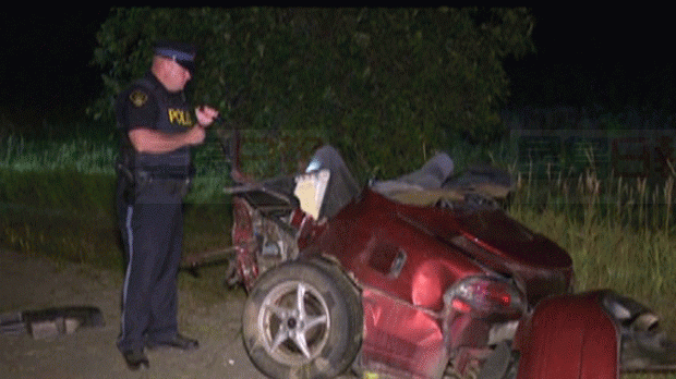 Brantford車輛撞樹一分為二 司機身亡