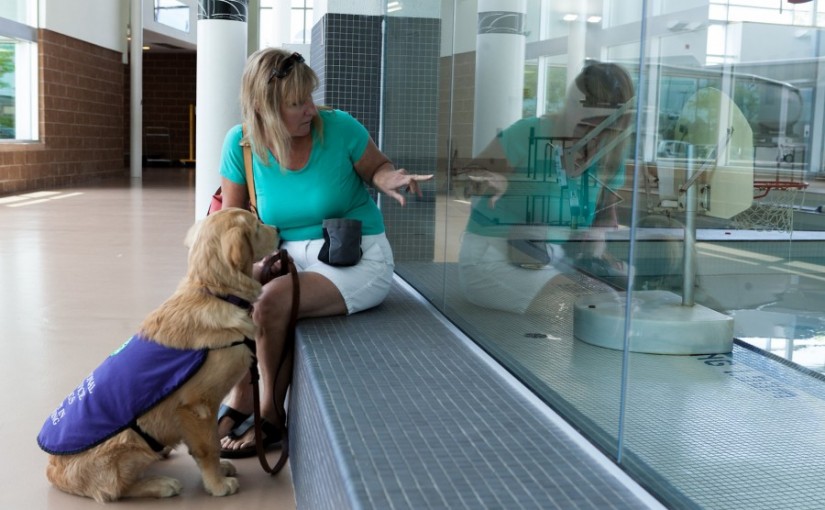 被告知勿騷擾服務犬 男子腳踢扔石頭