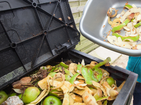 好浪費！加拿大人每年扔掉價值310億元食物
