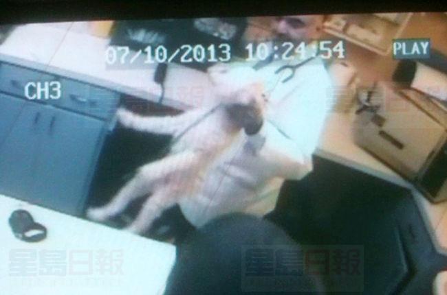 安省獸醫員工偷偷記錄 獸醫對寵物拳打掐頸