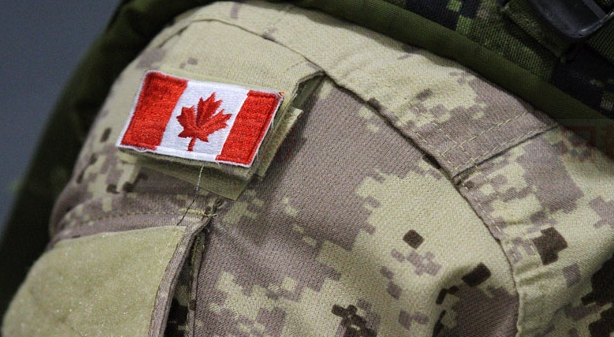 輕裝甲車撞堤 9名加拿大士兵訓練中受傷