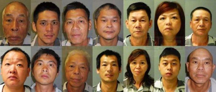 中國14位「農民」 在美種植3千株大麻被捕