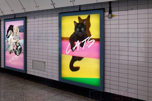 厭倦廣告 居民湊錢讓貓咪攻佔地鐵