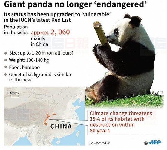 中國國家林業局：大熊貓仍是瀕危物種保護級別降低尚早