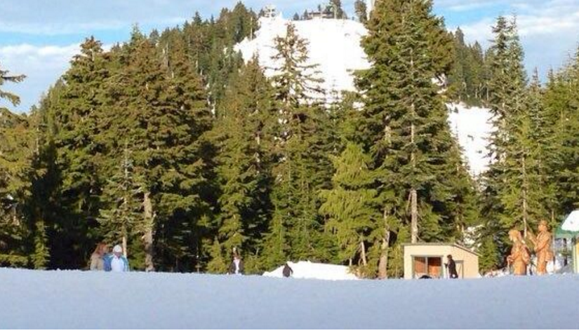 松雞山(Grouse Mountain)掛牌出售