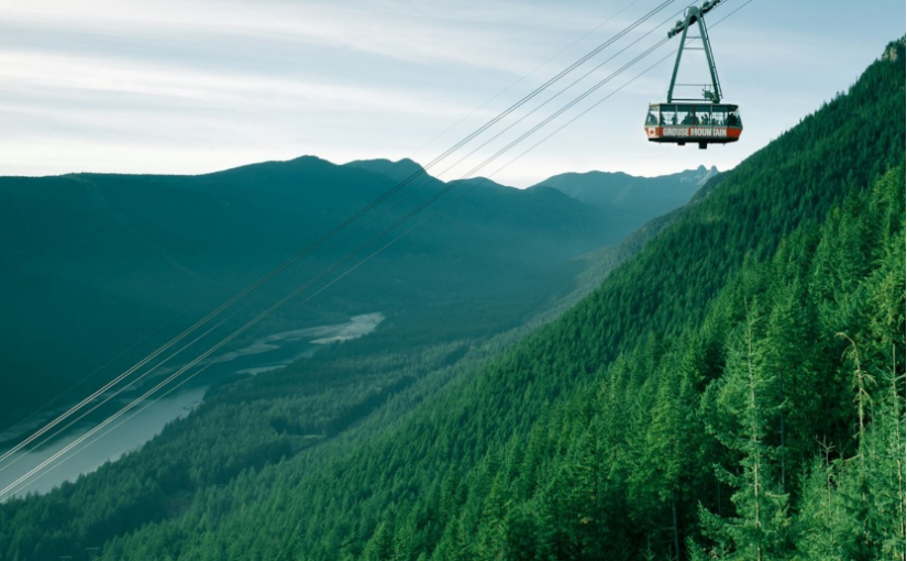 競購松雞山持續升溫