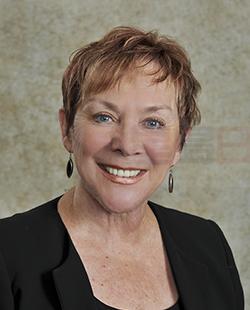 薩省議員：辦煙花大會不該嚇著難民