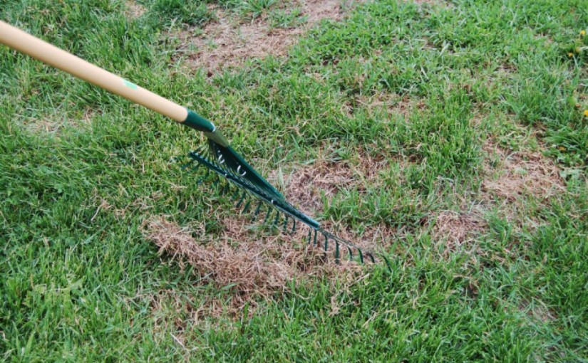 首次置業連澆水3日5晚 女子收上千水費單