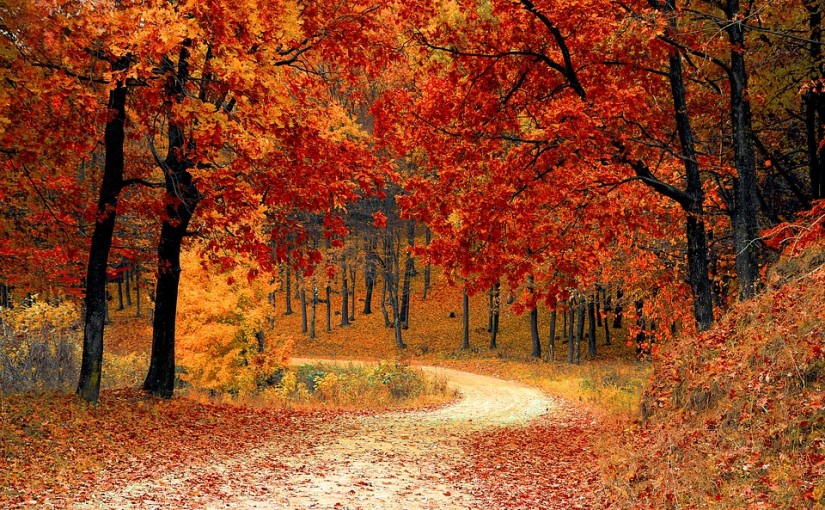 快享受最後夏日時光 冷鋒週五來襲週末更冷