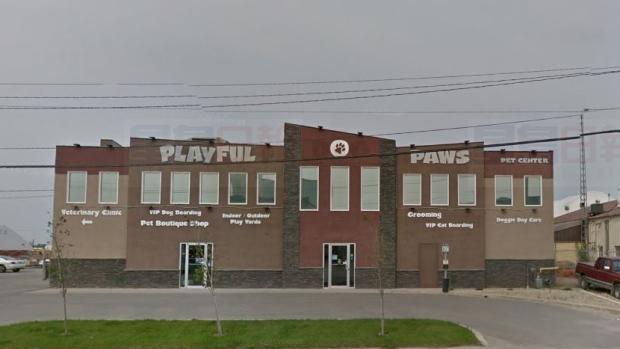 空調出毛病 寵物中心14條狗狗被活活熱死