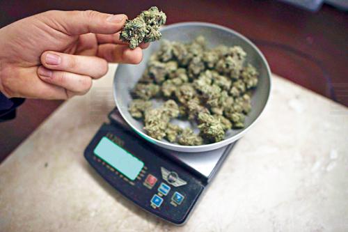 醫協建議 大麻合法年齡定在21以上