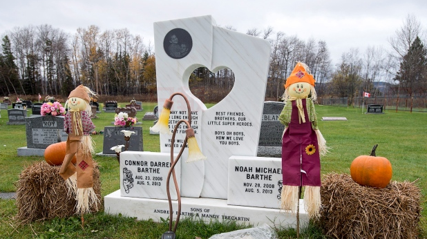 大蟒墜落壓死熟睡兩男孩 大蟒主人受審