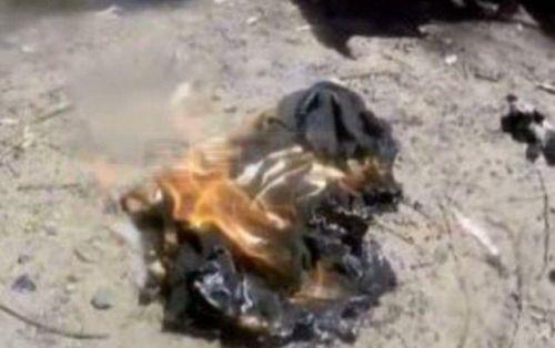 又爆炸了 澳洲滑浪教練iPhone 7冒煙燒成碳