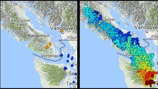 溫哥華每14個月或遇大地震 地震專家避災有方