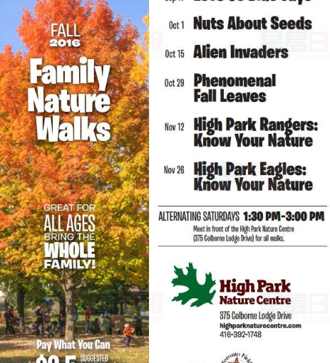 週六好天氣 可去高地公園秋遊