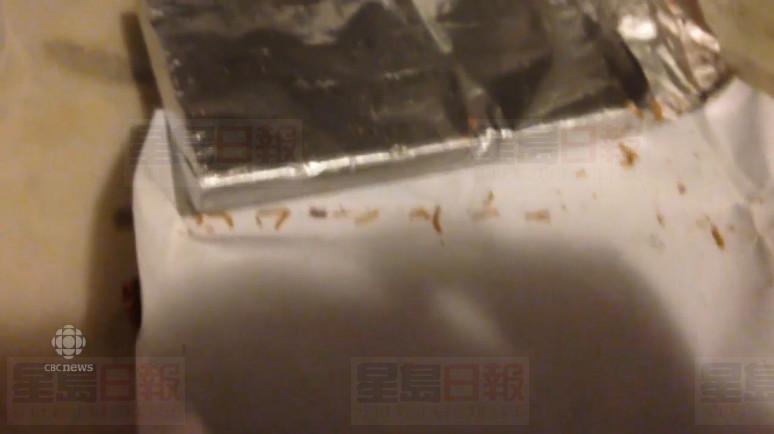 Loblaws買的巧克力爬出活蟲 男子吃一口差點吐