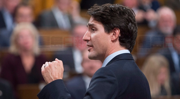 杜魯多為安省任命6名新參議員