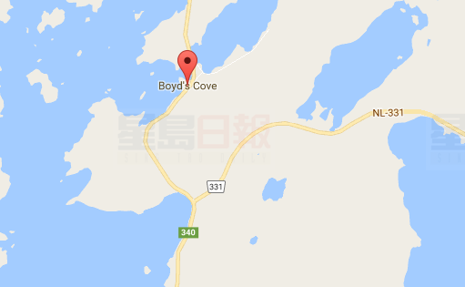 紐芬蘭漁村暴雨 7只海豚擱淺慘死沙灘