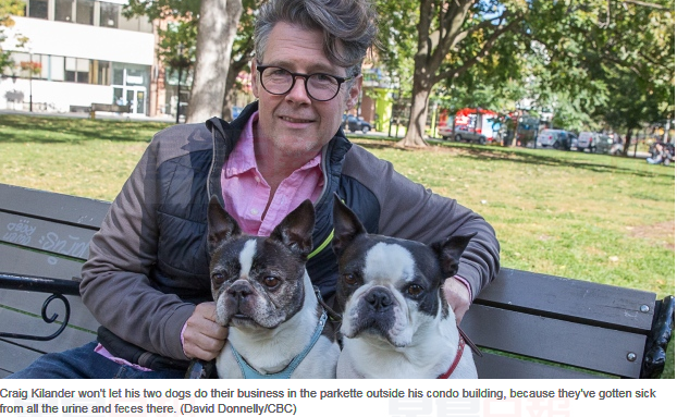 市中心公寓密集 狗狗糞便成災怎麼辦