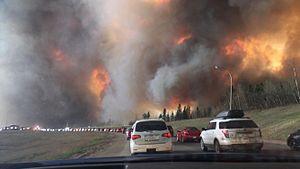 加拿大石油產業今年或虧損100億元