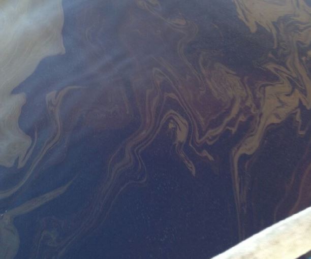 卑詩燃油洩漏事件引省長抨擊渥太華