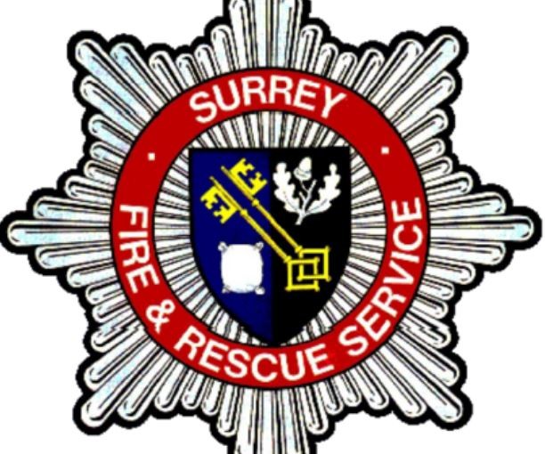 素里一名青少年因被風刮倒大樹砸傷致死