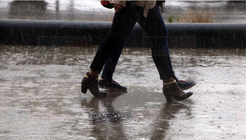 溫市旨在保障行人安全的試點交通燈項目初見成效