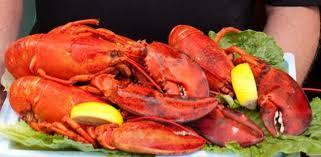 松一口氣 加拿大龍蝦仍可出口歐洲市場