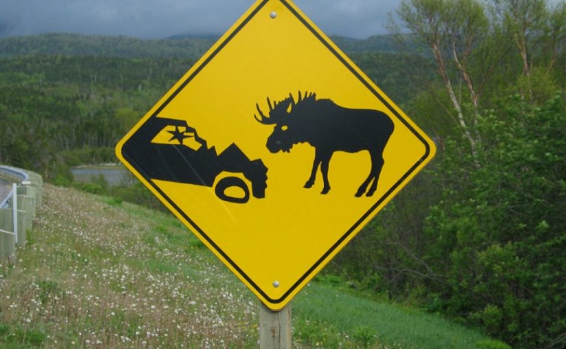 安省森林主要物種 數量驟減頻臨絕種