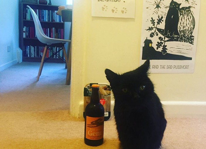 最命硬黑貓 和死神交手15次勝出