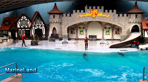 Marineland海洋公園受五項虐待動物指控