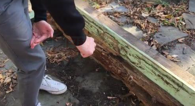 假如被別人的寵物咬傷 如何要求賠償醫藥費？