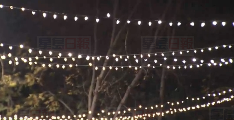 小區營造聖誕氣氛掛燈 24小時后被命令拆掉