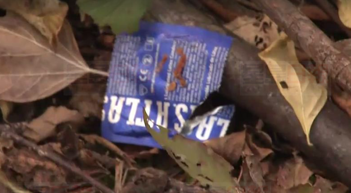 多倫多著名約炮公園 便衣警察也被邀請“加入”