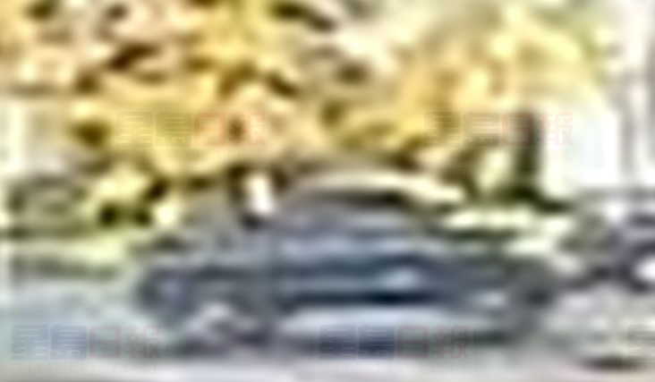 貨車撞傷士嘉堡長者肇逃 警方找到高清視頻