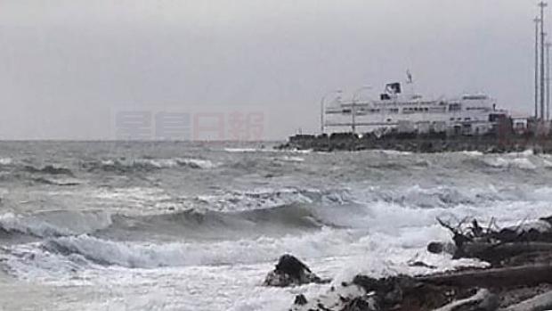 卑詩省南岸地區受強風吹襲 多處地方停電